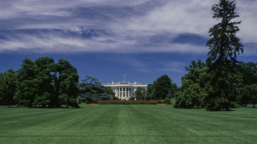 White house lawn online mower shop