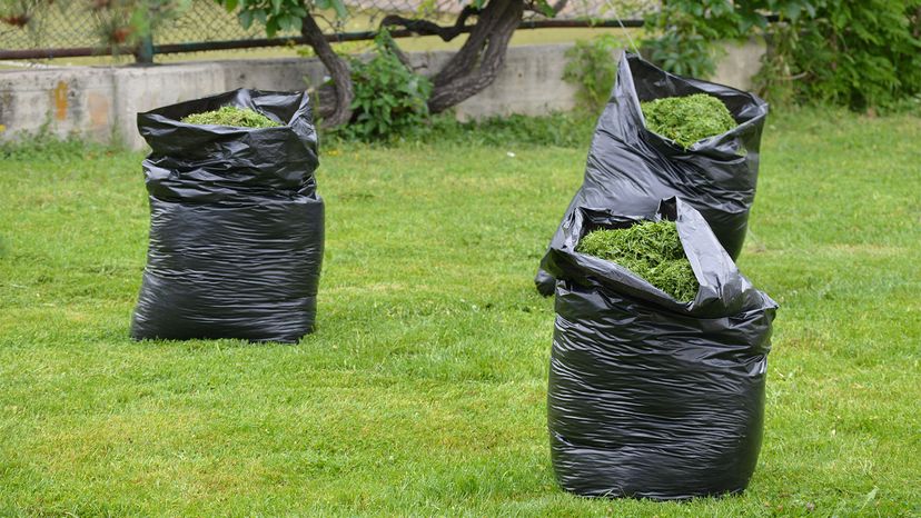 Which is greener, bagging your grass or leaving your clippings