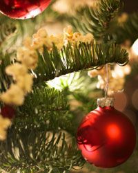 Ornament on Christmas tree