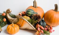 Pumpkin and gourd display