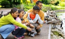 indian-american family feeding ducks at a pond