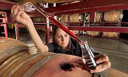 winemaker testing wine