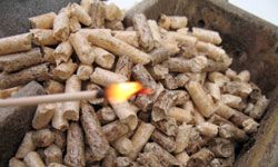 Wood pellets with match