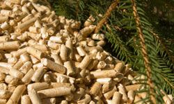 Wood pellets next to tree branch