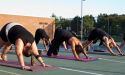 yoga group doing downward facing dog pose