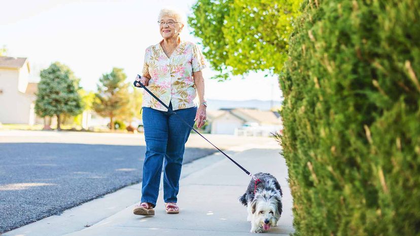 senior walking her dog