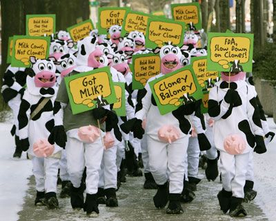 protesters marching