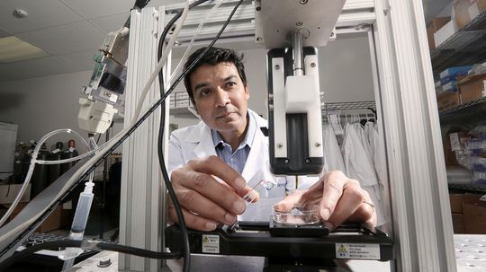 How 3-D Bioprinting Works