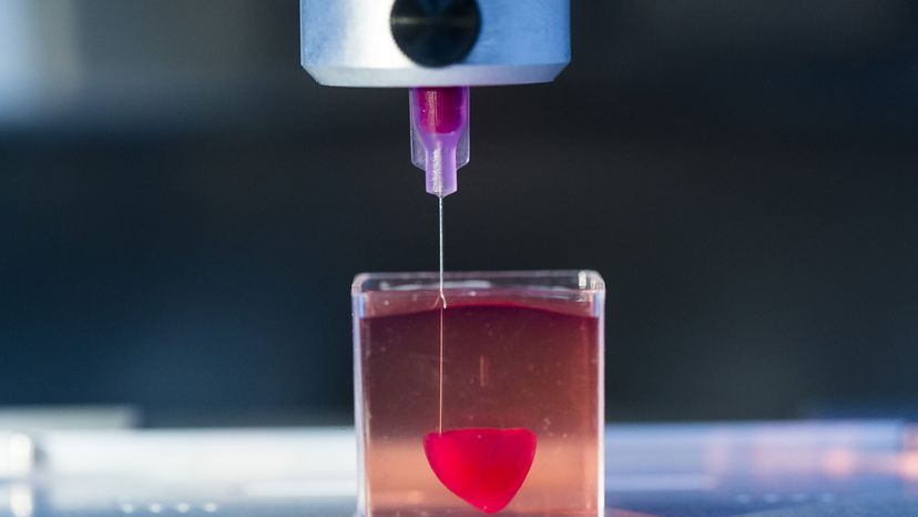 The creation of a 3D human heart in a lab.