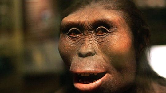 18新利最新登入人类不同于我们的祖先吗?”width=