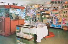 aquarium basics, pet store