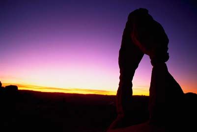 Silhouetted against a glowing sunset, nature outdoors backlit.