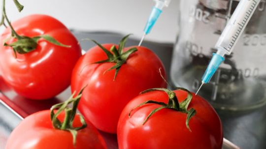10 Common Genetically Modified Foods