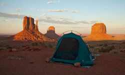 Every wilderness area has its own unique variety of dangerous critters -- and the desert is no exception.