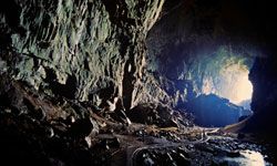 Deer Cave, a part of Borneo's Mulu caves, is the largest cave passage in the world.
