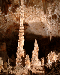 卡尔斯巴德洞窟(Carlsbad Caverns)精致的矿藏就像苏斯博士笔下的人物。查看更多洞穴图片。＂width=