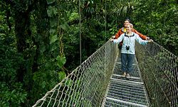 A couple takes a stroll on a rainforest canopy walkway in the Arenal Volcano area, Costa Rica.