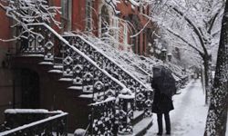 Greenwich Village townhouses along Leroy Street in New York City