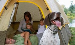 Your dog might enjoy a camping trip.