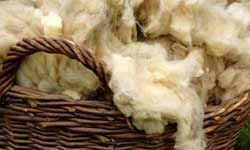 Ancient Greeks and Romans are believed to have used the oil from sheep's wool to moisturize their skin.