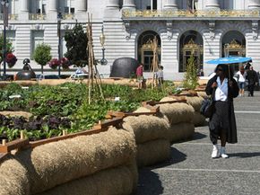 Organic food is great when it will be eaten locally -- the case for this San Francisco City Hall garden. But it isn't the environmentally friendly default many believe it to be.