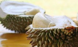 durian