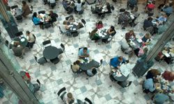 Imagine you're enjoying your lunch in the mall food court, when suddenly your fellow diners burst into song.