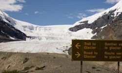 像加拿大贾斯珀国家公园（Jasper National Park）这样的冰川后退是气候变化的明显后果之一。“border=