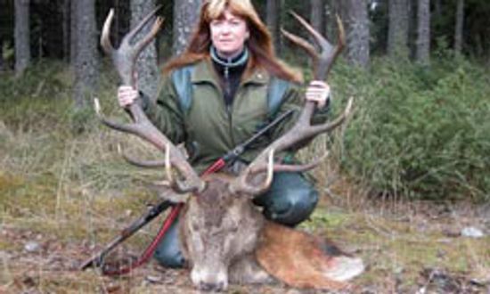 五大安全小贴士打猎”class=