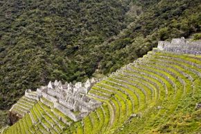 Incan farmers planted crops on the steep peaks of the Andes by using agricultural terraces like these seen at the ruins of Winay Wayna in Peru.