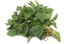 Oregano is popular in Mediterranean cooking and has a distinct aroma.