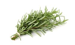 Rosemary