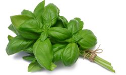 Sweet basil is a popular flavoring agent in many tomato-based sauces.