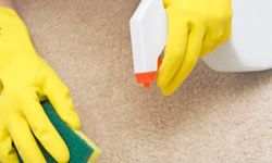 If there are stains your carpet, a simple spot treatment will rarely do the trick to remove them.