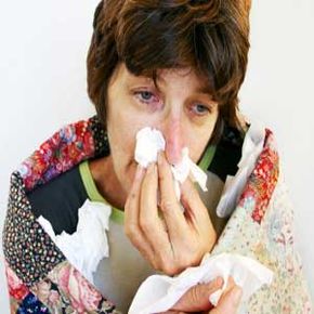 5 plants to help boost immune system