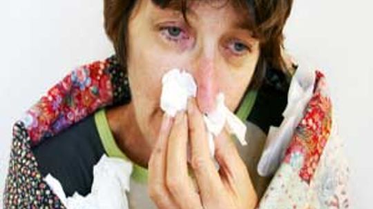 Allergies and Immune System