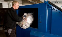 Take out the trash regularly and don't let old bags sit around for weeks.