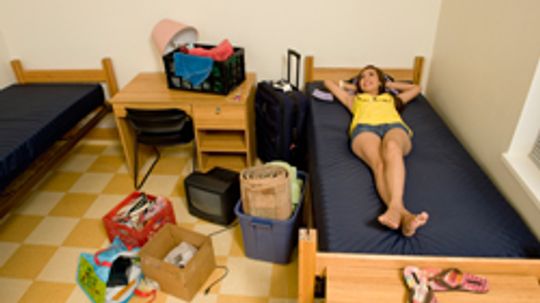 5 Ways to Keep Pests Out of Your Dorm Room