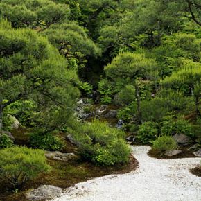 Japanese garden