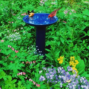 To add the element of water to a small garden, try a bird bath.