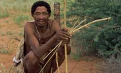 This bushman could make his bow and arrow work for him if he used them to make a bow trap.