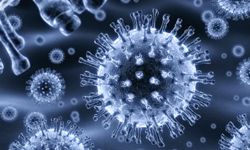 Nanotechnology scientists study viruses in the hopes of developing new treatments for diseases like cancer.