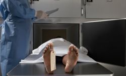 Real human bodies (cadavers) have played a significant role in crash safety testing.
