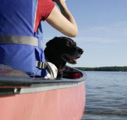 Sure, you can travel with your pet by boat, but for long trips you may want to look into flying. See more pet pictures.