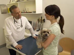 Visit the vet, but no earlier than 10 days prior to your trip.