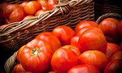There are numerous ways to save fresh tomatoes, but sometimes the best option is to eat them. They're delicious! 