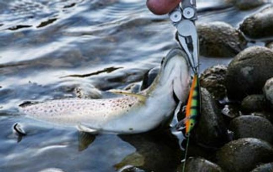 5建议删除鱼钩”class=