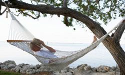 Man napping in hammock