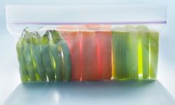 15+ Unique Uses for Ziploc Bags – Miss Information