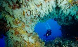 Underwater cave diving is dangerous, but those who go through with the hard work and training are rewarded with incredible sights.